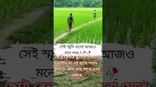 এই দিন গুলো অনেক মিস করি। হারিয়ে যাওয়া দুরন্ত সোনালী শৈশব foryou sadshorts foryoutube viralreels [upl. by Lehcim]