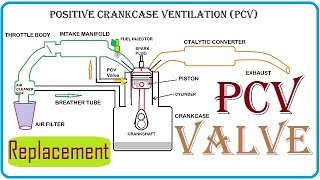 How to replace PCV valve in Hindi in your car  कैसे बदलें PCV Valve [upl. by Ayifa]