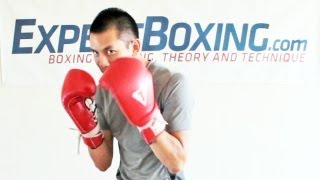 How to Block Punches in Boxing [upl. by Prestige]