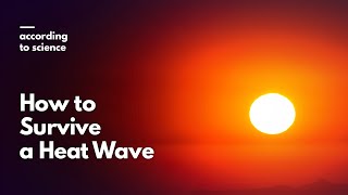 How to Survive a Heat Wave According to Science [upl. by Nomad500]