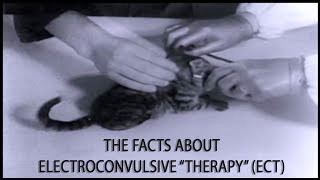 Electroconvulsive quotTherapyquot —The Facts about ECT [upl. by Sandor]