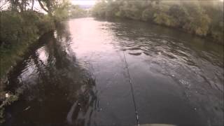 Luxembourg Fishing une sortie truites 2014 Sure moyenne [upl. by Llerrut]