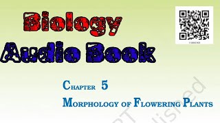 Biology class 11 chapter5 MORPHOLOGY OF FLOWERING PLANTS Audio book by Rorimu creator [upl. by Bergen]