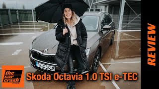 Skoda Octavia eTEC 2021🤎 Das kann der 10 TSI mit 110 PS Fahrbericht  Review  Test  Verbrauch [upl. by Viglione323]