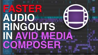 Avid Media Composer  Faster Audio Reverb Ring Outs [upl. by Araht]