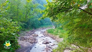 8 Hours Relaxing Nature Sounds  River Noise and Birdsong [upl. by Upshaw493]