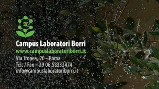 Scuola di Naturopatia Campus Laboratori Borri Full HD  Podcast di Naturopatia [upl. by Nwahsuq760]