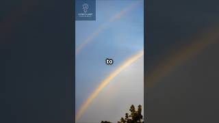 🌈 Colourful Facts About The Rainbow That You Might Not Know rainbows rainbow [upl. by Nolyag702]