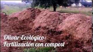 Olivar Ecológico Fertilización con compost [upl. by Hosea206]