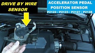 Accelerator Pedal Position Sensor Testing and Replacement  Drive By Wire Sensor [upl. by Minnaminnie]