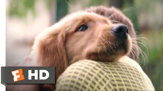 A Dogs Purpose 2017  I Had a Boy Scene 110  Movieclips [upl. by Chenee]