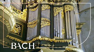 Bach  Fantasia and fugue in G minor BWV 542  Van Doeselaar  Netherlands Bach Society [upl. by Atirahc]