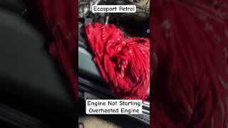 Ford Ecosport 4 Cylinder Petrol Engine Starting Trouble  Ecosport overheating issue ecosport [upl. by Aekin811]