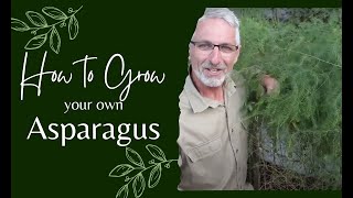 How to Grow Asparagus [upl. by Reemas608]