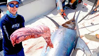 Swordfish facts 13 facts about Swordfish [upl. by Adnyc]