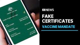 Antimandate groups spreading fake vaccine certificates to help others break COVID rules  ABC News [upl. by Gabriella]