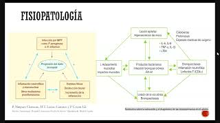 Bronquiectasias  Neumología  sem 9 [upl. by Rillis]