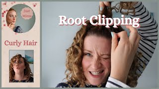 ROOT CLIPPING How to root clip curly hair and why [upl. by Flynn158]