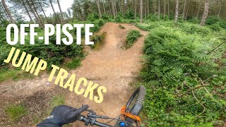 Riding Epic MTB Jump Tracks at Cannock Chase [upl. by Trust841]