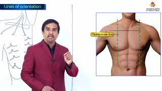 Lines of orientation  Mid sternal  Mid clavicular and Axillary lines [upl. by Aicilyt]