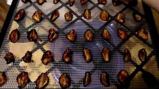 Dehydrating Italian Prune Plums [upl. by Intosh265]