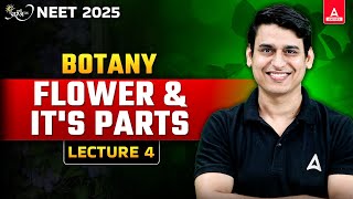 MORPHOLOGY OF FLOWERING PLANTS CLASS 11  FLOWER AND ITS PARTS NEET 2025 PREPARATION  NEET BIOLOGY [upl. by Nayllij]