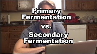 Primary vs Secondary Fermentation Whats the Difference [upl. by Nenney727]