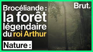 Brocéliande  la forêt légendaire du roi Arthur [upl. by Iden605]