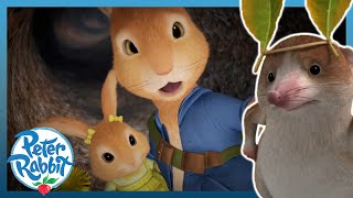 OfficialPeterRabbit  😢🐰 The Shrew Pranks Cottontail 🐰😢  Cartoons for Kids [upl. by Gerda]