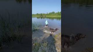 Splashing Around in Sangerville Maine Maine waterplay dogmom boymom [upl. by Aiuqat]