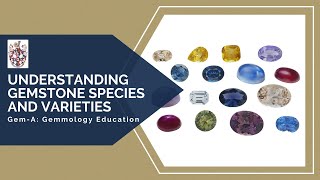 GemA Live Understanding Gemstone Species and Varieties [upl. by Ellga]