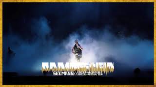 Rammstein  Seemann Live Audio Remastered  Moscow 2016 [upl. by Roxanna]