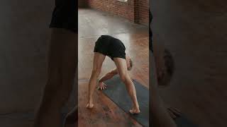 Advanced Yoga with Brent  Mandalasana [upl. by Suneya]