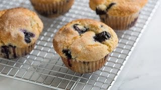 Quick and Easy Blueberry Muffin Recipe  How to Make The Best Homemade Blueberry Muffins [upl. by Aneleasor83]