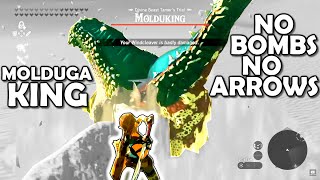 MOLDUGAKING no bombs no arrows  Breath of the Wild  Zelda BotW  Basement  S3E86 [upl. by Arua]