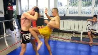 Gut Punching  KNOCKOUT 🏆2 [upl. by Zela]