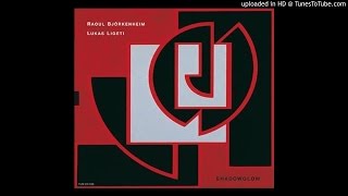 Raoul Bjorkenheim amp Lukas Ligeti  Rain Turns Red Gold [upl. by March]