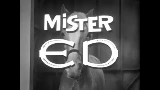 Mister Ed 1961  1966 Opening and Closing Theme With Snippet [upl. by Petuu]