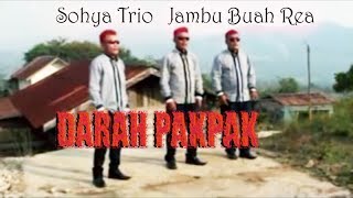 Lagu Pakpak  SOHYA TRIOJAMBU BUAH REA [upl. by Spatz]