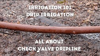 All About Dripline with Check Valves  Drip Irrigation Irrigation Training [upl. by Humberto565]