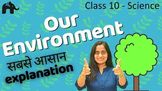 Our Environment  Class 10 Science  CBSE [upl. by Rednazxela]