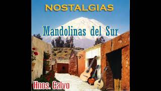 Mandolinas del Sur  Nostalgias Full Album 2008 [upl. by Nyltiak]