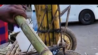 Street Hustle Live Selling Fresh Juicy Sugarcane in Kenya [upl. by Melva]