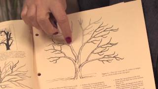 Garden Maintenance Tips  Orange Tree Pruning [upl. by Glynas934]