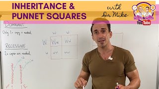 Dihybrid Crosses using a Punnett Square [upl. by Nit]