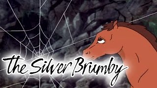 The Silver Brumby 138  Getting Together HD  Full Episode [upl. by Arikal]