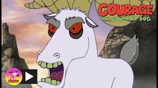 Courage The Cowardly Dog  Baaaaad Goat  Cartoon Network [upl. by Chi]