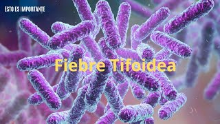 FIEBRE TIFOIDEA  Etiología Clínica Diagnóstico y Tratamiento  Repaso Infecciosas [upl. by Dorrie292]