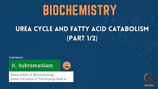 Urea cycle and Fatty acid catabolism Part 12 [upl. by Anizor255]