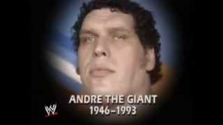 WWF  02011993  Raw  Andre the Giant  Tribute [upl. by Eerazed]